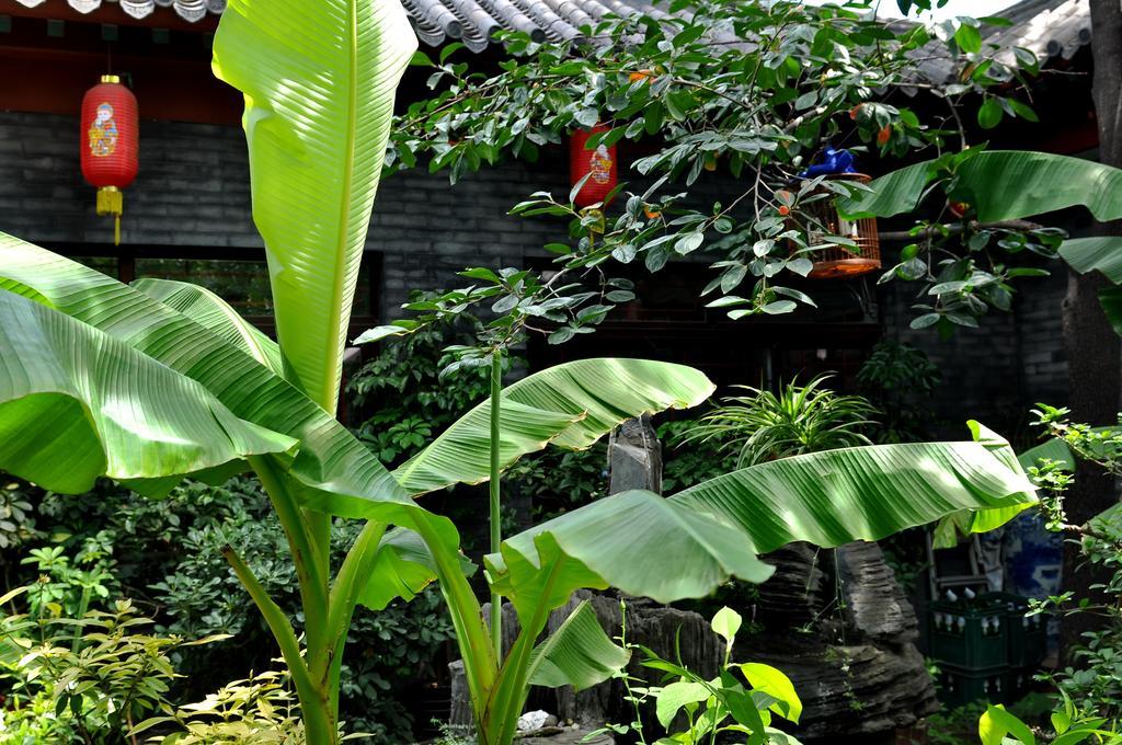 Red Lantern House Pequim Exterior foto
